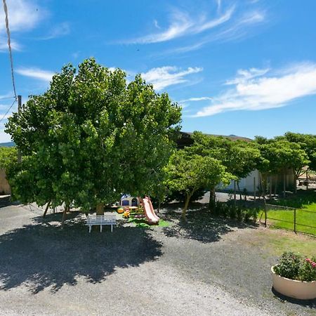 Agriturismo Case Nuove Castellina Marittima Buitenkant foto
